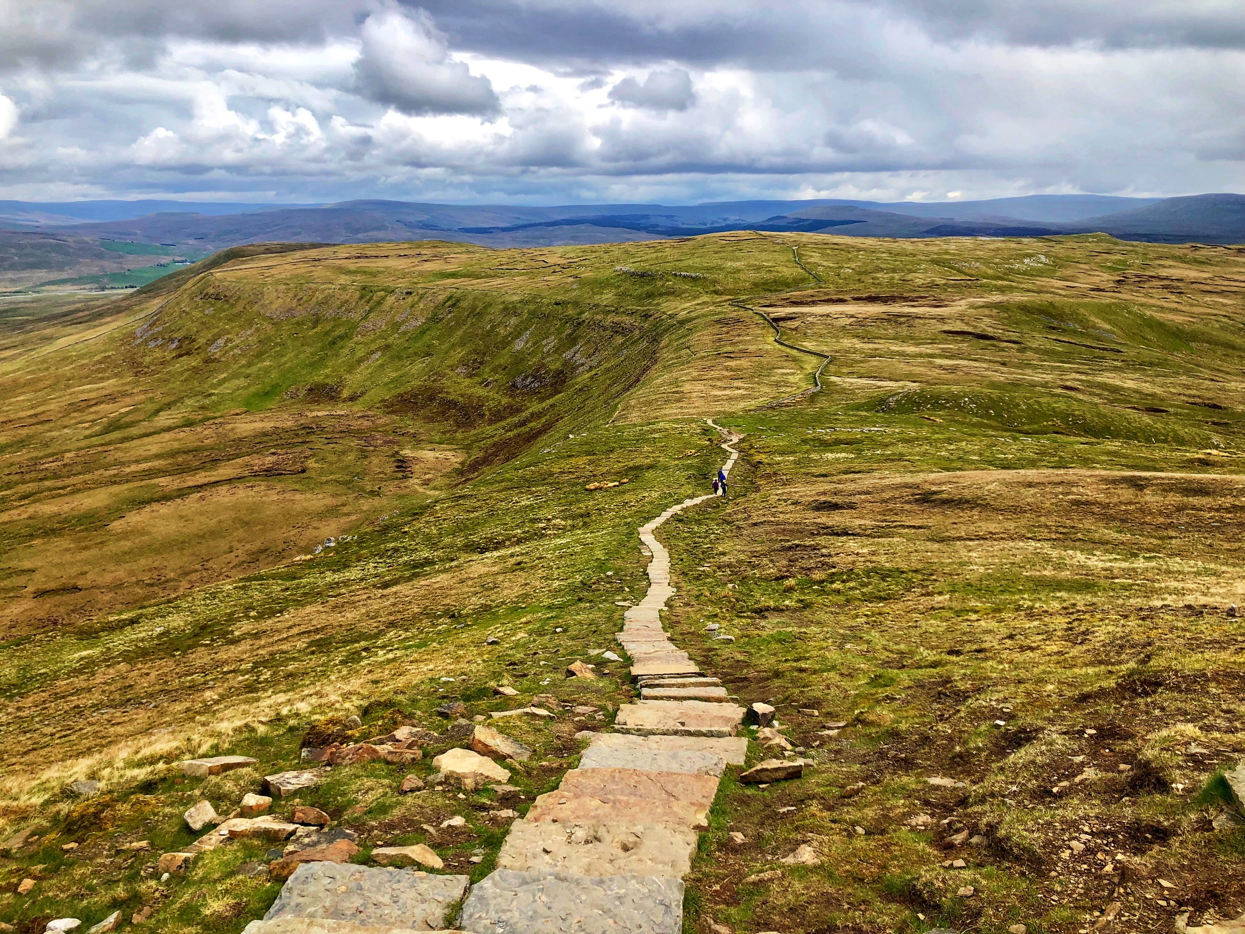 60486827_352301248757507_8521045464055808000_n