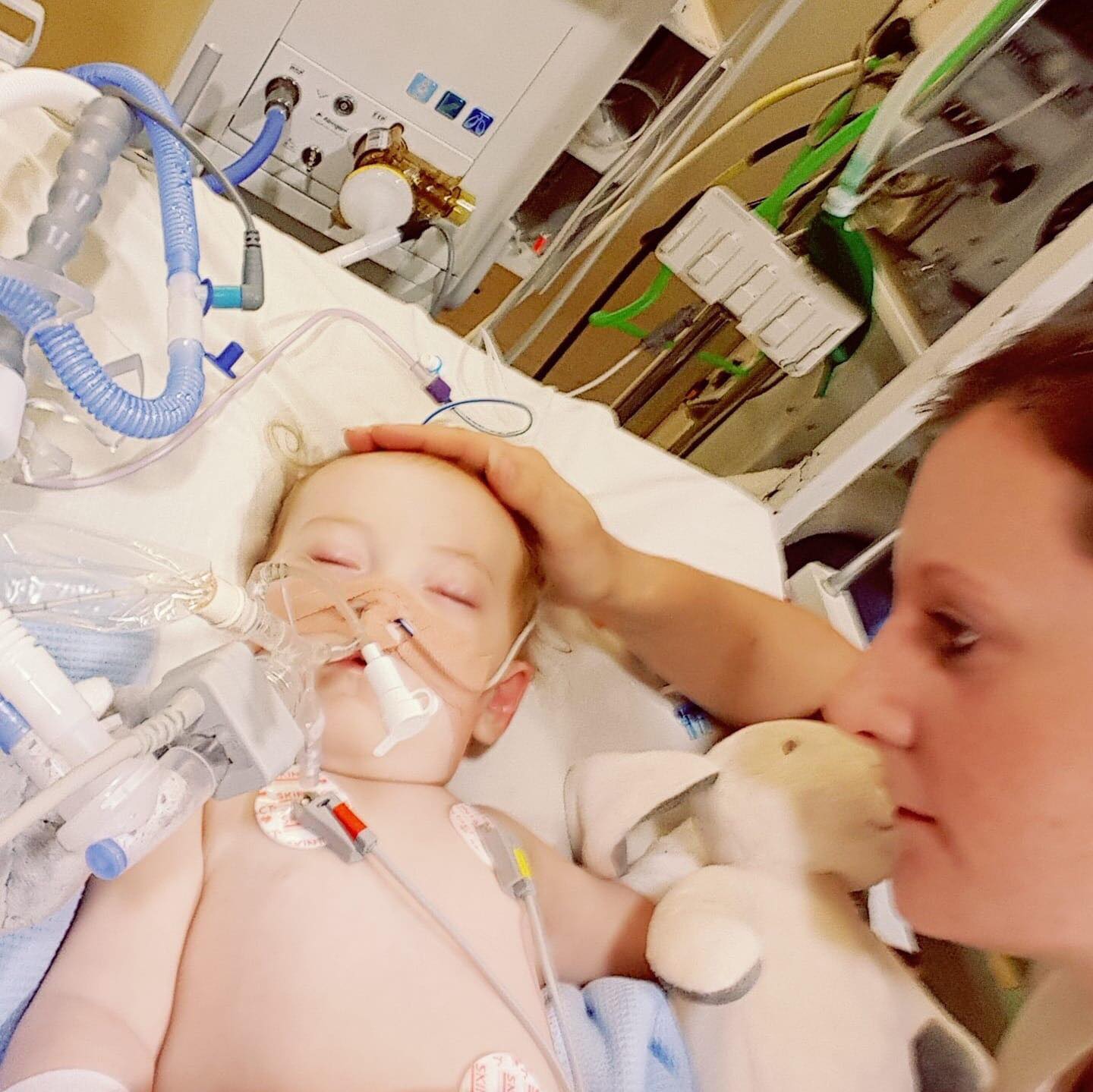 64222665_1207279716120758_2821219001466617856_n