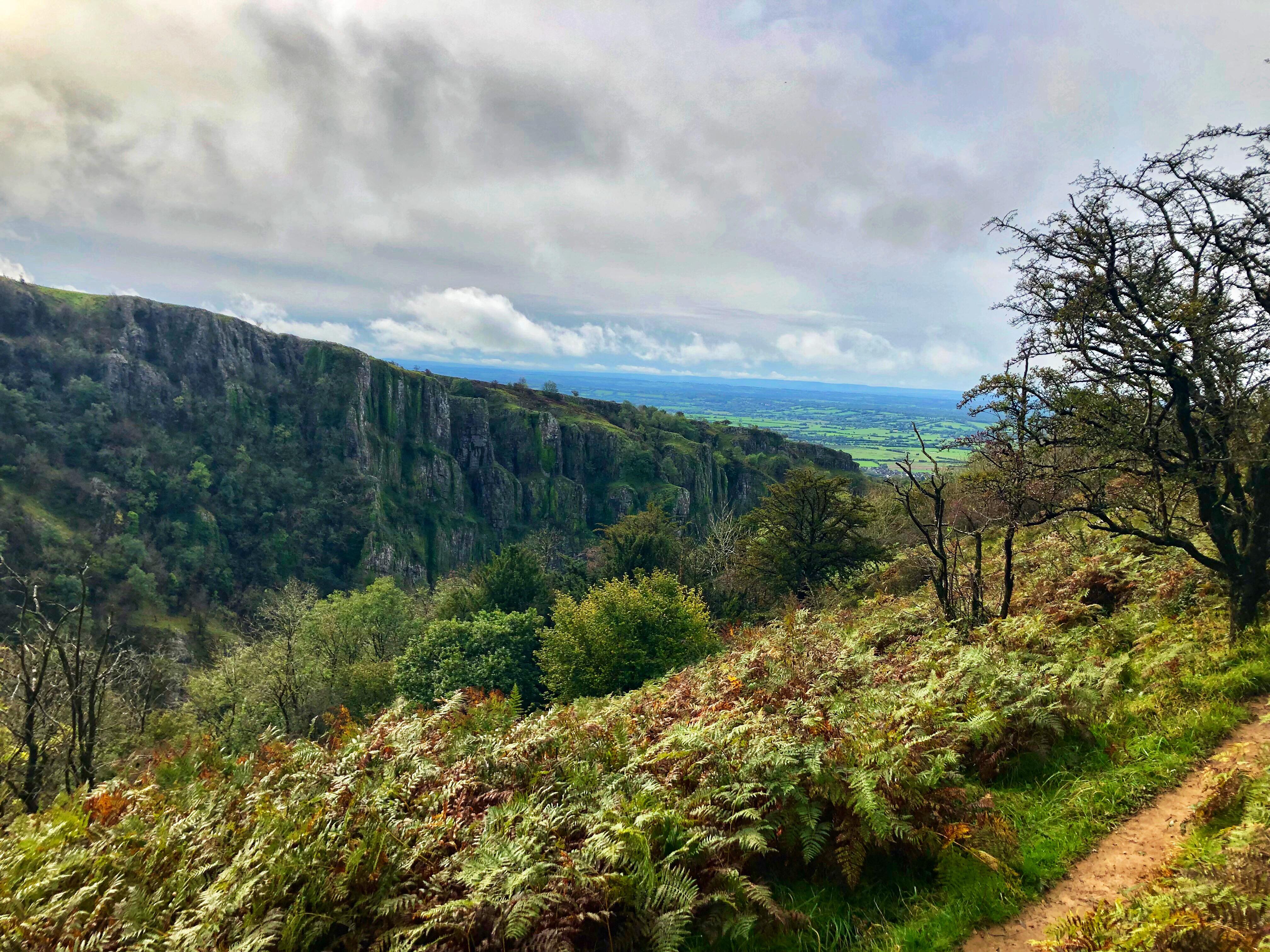 73482766_429838307940953_1386903308483952640_n